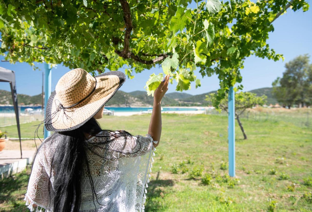 Paralia Sikias Casa Alati 빌라 외부 사진